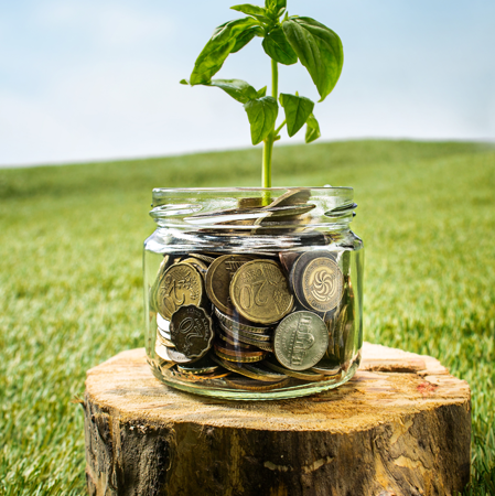 Forex & finance Global Sky